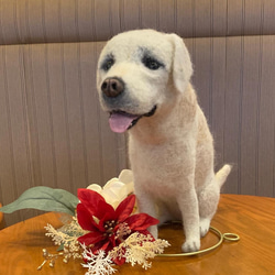 オーダー 羊毛フェルト 犬 ぬいぐるみ ペットロス うちの子 25cm