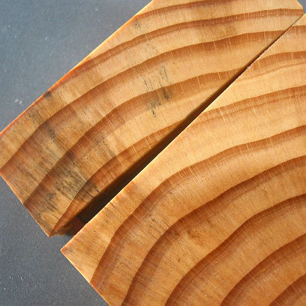 【松】　木製名刺入れ　年輪模様が綺麗【即日発送】