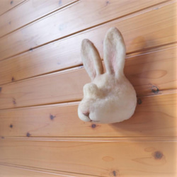 めがね掛けウサギ（壁掛け） 7枚目の画像