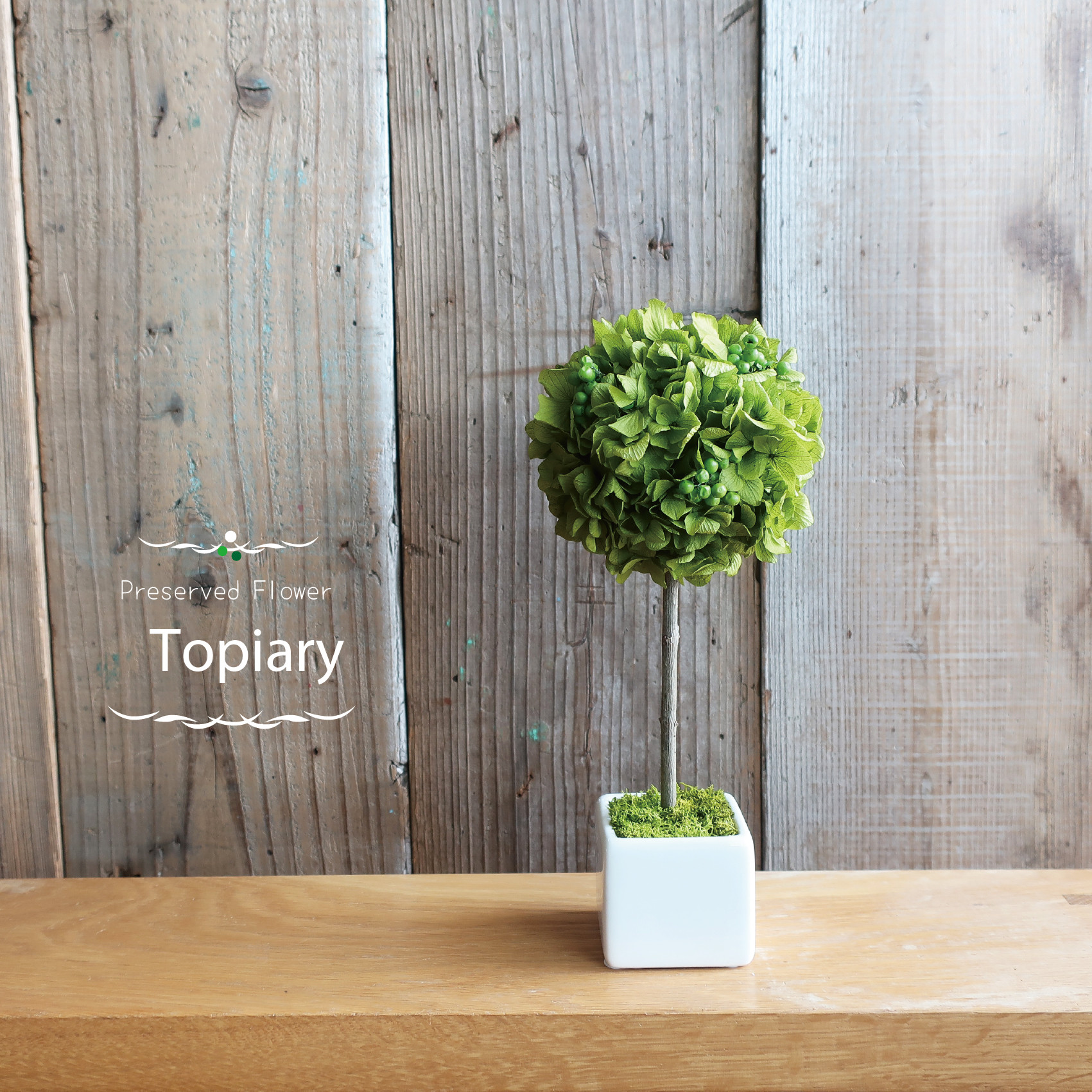 インテリアに合うトピアリー ✿ プリザーブドフラワー　グリーン　Beatrix
