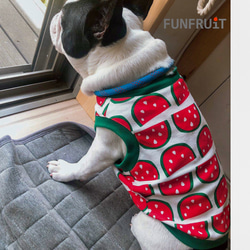 フレブル 用】スイカ柄Tシャツ（タンクトップ）フレンチブルドック 犬