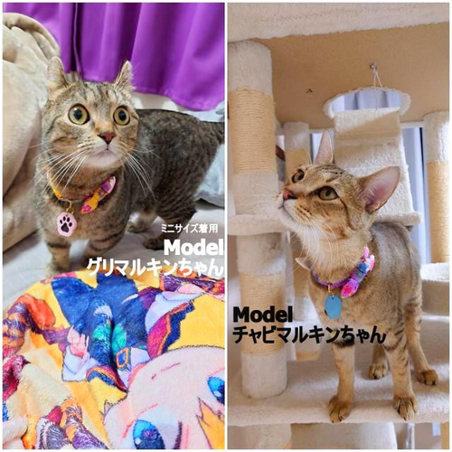 お着物風＊和風猫ちゃん首輪 リード・首輪 Atelier LEON 通販