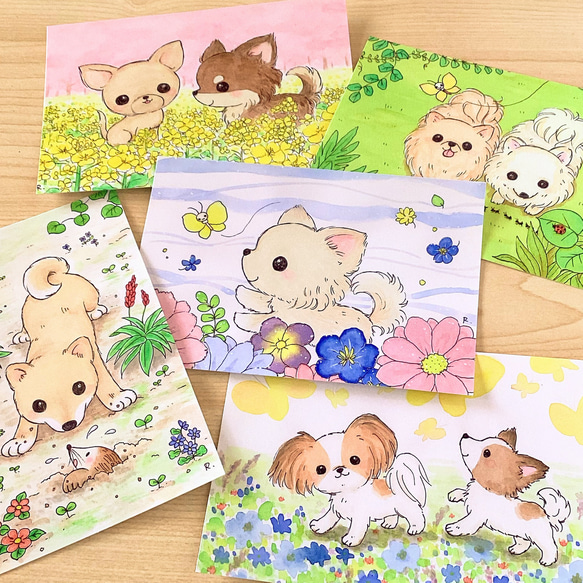 春のチワワ、パピヨン、ポメラニアン、柴犬 イラストポスト