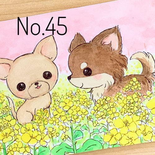 春のチワワ、パピヨン、ポメラニアン、柴犬 イラストポストカード 5枚 