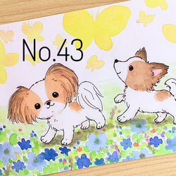 春のチワワ、パピヨン、ポメラニアン、柴犬　イラストポストカード　5枚セット 3枚目の画像