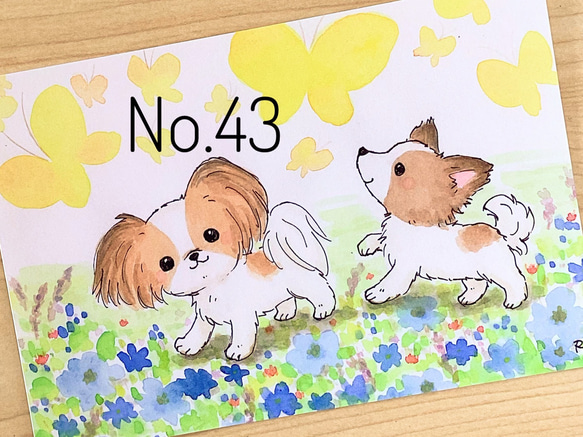 春のチワワ、パピヨン、ポメラニアン、柴犬　イラストポストカード　5枚セット 3枚目の画像