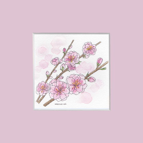 ☆受注制作（マット新色）桃の花 ＊マット額付き手描き水彩画