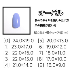 ミラー×マット×グレーネイル◇No.013 6枚目の画像