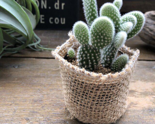 f1aed2eeaf5ad2300012965fcccddc