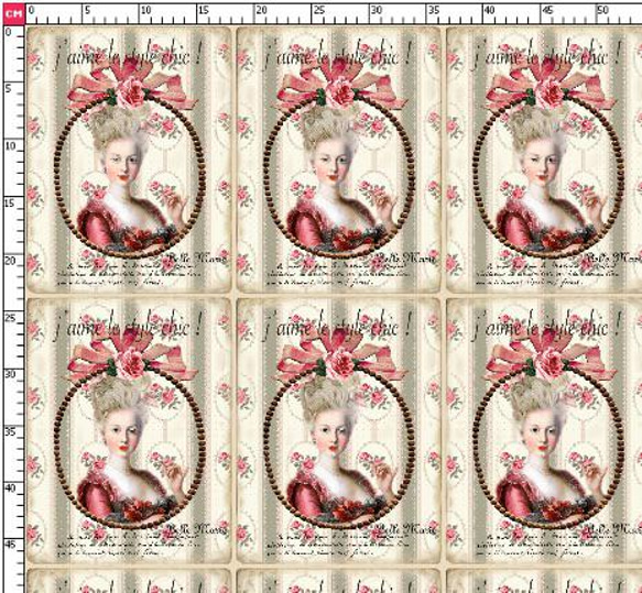 マリーアントワネット 貴婦人 クィーン 生地 輸入生地 ロココ調 