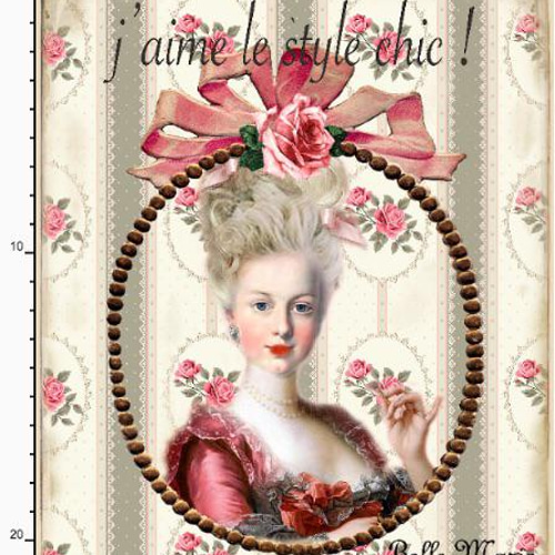 マリーアントワネット 貴婦人 クィーン 生地 輸入生地 ロココ調 