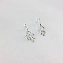プランツピアス／イヤリング　銀 -Silver 3枚目の画像