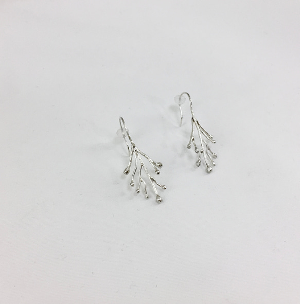プランツピアス／イヤリング　銀 -Silver 3枚目の画像