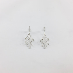 プランツピアス／イヤリング　銀 -Silver 2枚目の画像