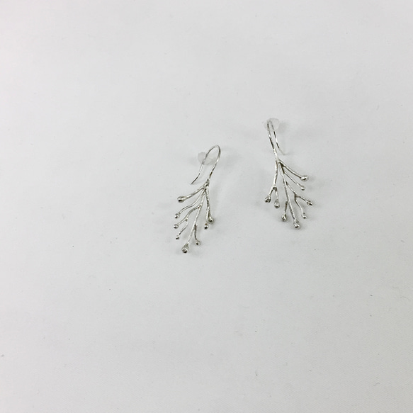 プランツピアス／イヤリング　銀 -Silver 5枚目の画像