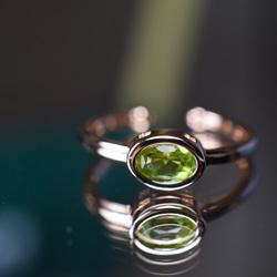 RS5-94 上品 宝石質 深緑 ミャンマー産天然 A貨 本翡翠 ルース 裸石