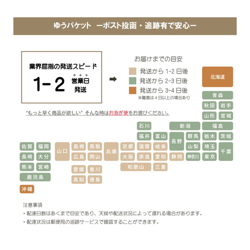 選べる12種！世界に一つだけの命名書 雑貨・その他 Leliena 通常