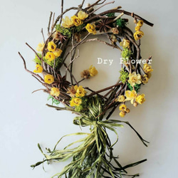 はろ様 リクエスト 2点 おまとめ ドライフラワー リース はろ様 リクエスト 2点 おまとめ ドライフラワー リース はろ様