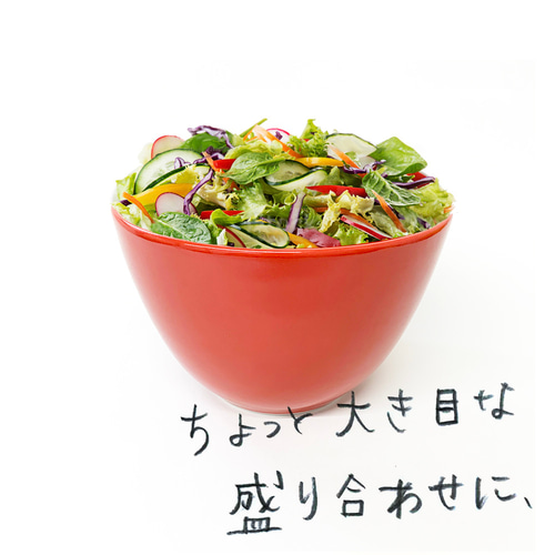 オリジナル波佐見焼サラダボウル（赤） お椀・ボウル・鉢 central