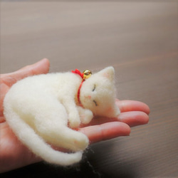 送料400円★かご猫　Φ9cm★たま 3枚目の画像