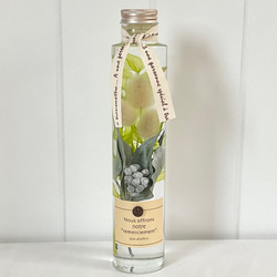 ハーバリウム・植物標本 のおすすめ人気通販｜Creema(クリーマ) 国内