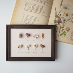 植物標本-無垢の花畑- wt ドライフラワー Re:flora 通販 13407411