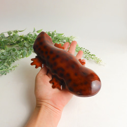 オオサンショウウオ（★台付き）giant salamander / wood figurine 6枚目の画像