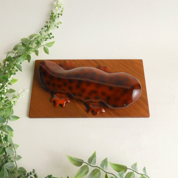 オオサンショウウオ（★台付き）giant salamander / wood figurine 7枚目の画像