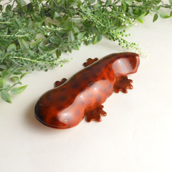 オオサンショウウオ（★台付き）giant salamander / wood figurine 1枚目の画像