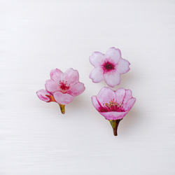 桜ひと枝のブローチ 2枚目の画像