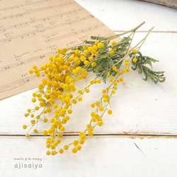 ミモザ　イタリア産ミランドールとルナリアのハーフリース　グレビレア　春 108da9692c0c119746a3e71603a4d6