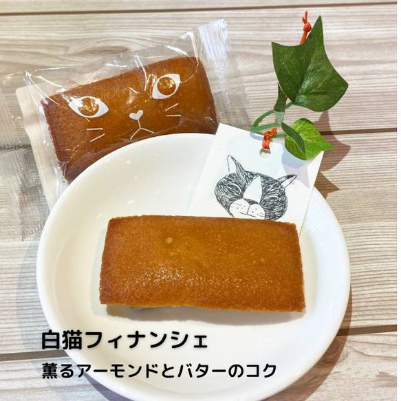 猫で笑顔！内祝い・贈り物　焼き菓子詰め合わせ【スィーツギフト10個セットMサイズ】プレゼント 9枚目の画像