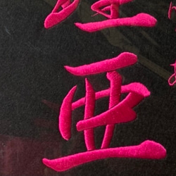  第12張的照片
