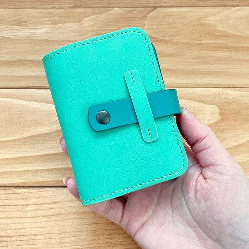 色を選べる 本革カードケース＊ブック型クリアホルダー《名入れ無料