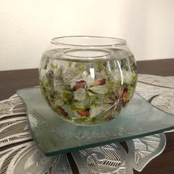 ジェルキャンドルホルダー 11枚目の画像