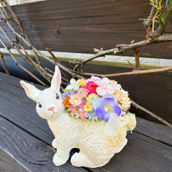 Finland garden 秋色の木箱アレンジメント くすみカラーのプリザーブド