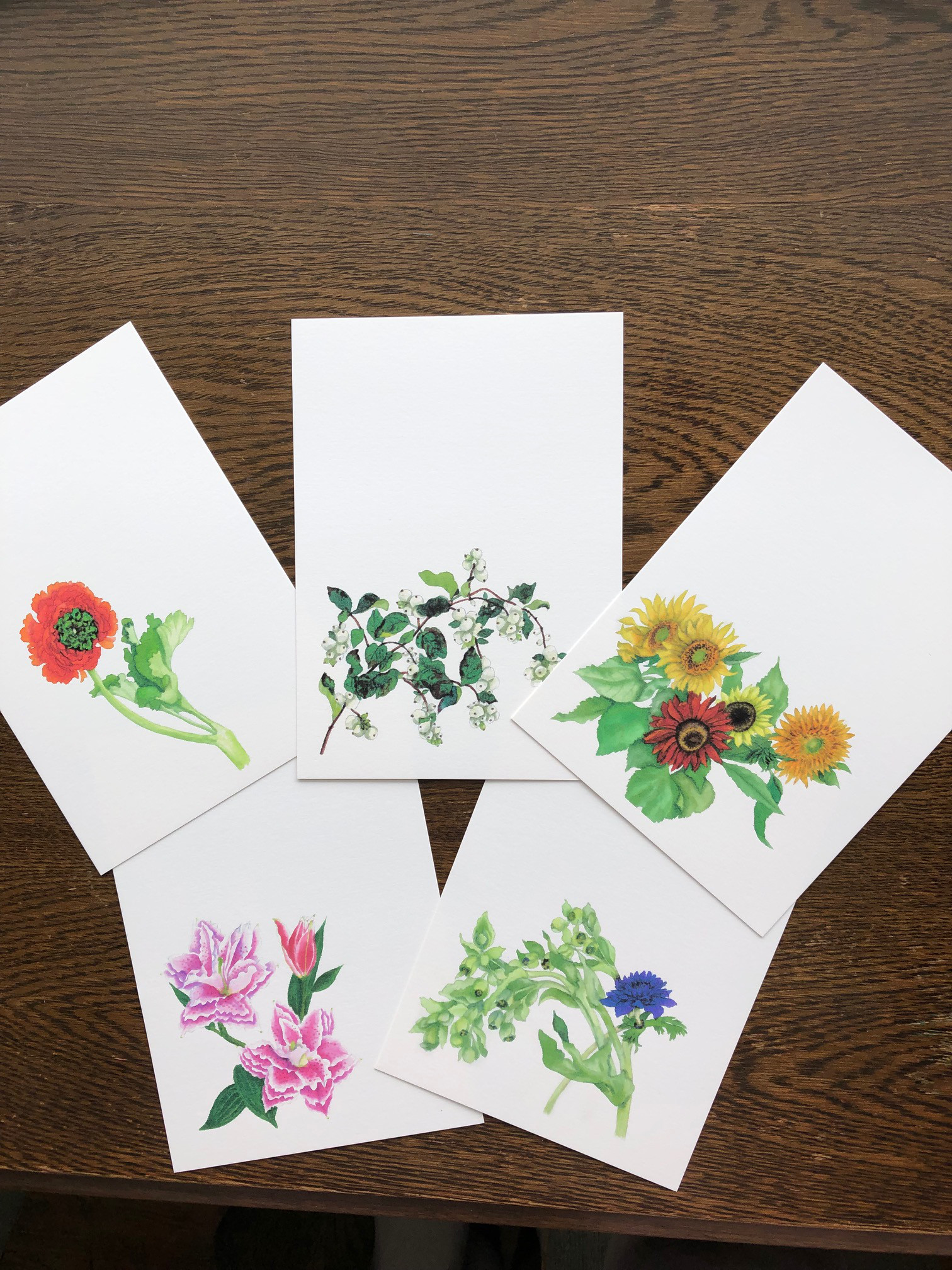 花の水彩画・絵はがきシリーズ5 ポストカード ミセスホワイト 通販