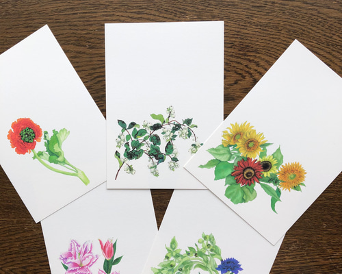 未使用絵はがき　225 00201002-0100.jpg