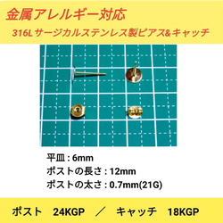 (10個 5ペア)　316L サージカルステンレス 平皿6mm ゴールド ピアス 2枚目の画像