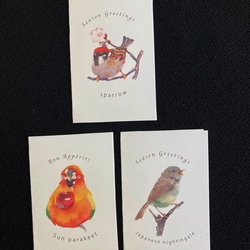鳥のカードセット(ポストカード2枚とメッセージカード4枚)【Creema限定】 6枚目の画像