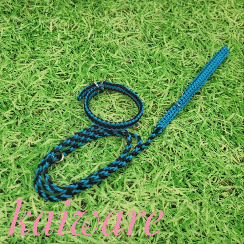 パラコード首輪ターコイズブルー×ブラックカラーのベルトタイプです