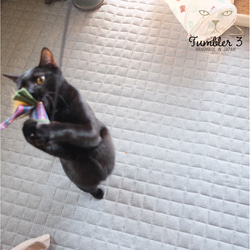 猫用・飛びつくおもちゃ・テトラ（スノーホワイト） 17枚目の画像