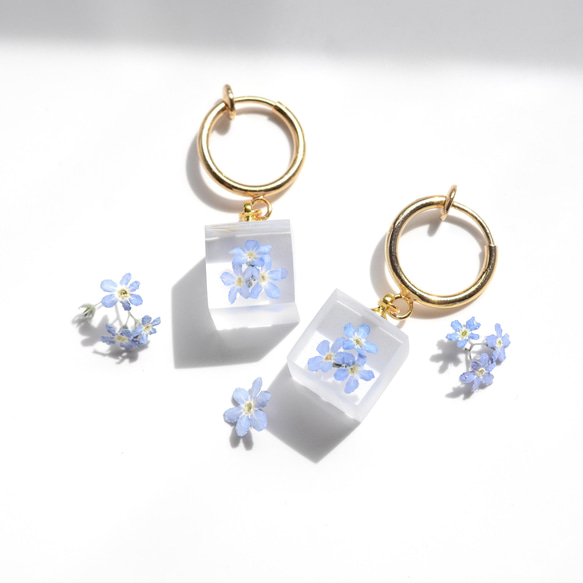 特集掲載】勿忘草のイヤリング サージカルステンレス シンプル レジン