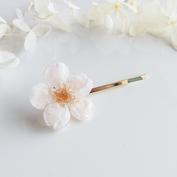 【生花】【受注制作】Everpink. こだわりの花びらで仕上げた本物の桜の髪飾り／ヘアピン 2枚目の画像