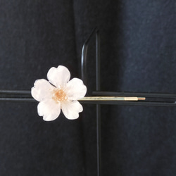 【生花】【受注制作】Everpink. こだわりの花びらで仕上げた本物の桜の髪飾り／ヘアピン 1枚目の画像