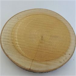 自然素材エコクラフト　小枝　　no,551 　広葉樹の輪切り　200　 2枚目の画像