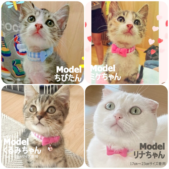 子猫ちゃん用はじめて首輪＊フリルギンガムりぼん 6枚目の画像