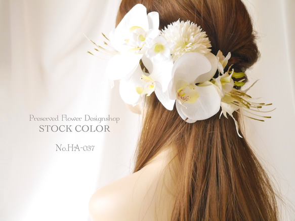 ヘッドドレス  髪飾り 楽天市場】ミニ胡蝶蘭のヘッドドレス ヘアアクセサリー 髪飾り