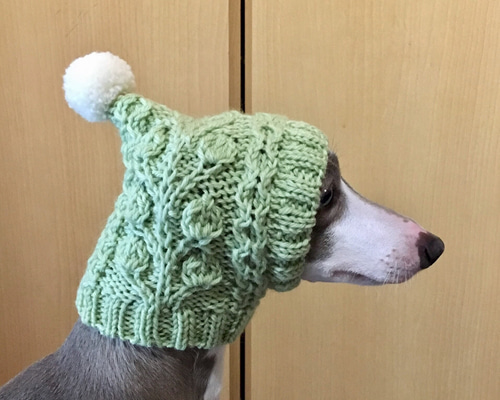 新作♪ 手編み ◇ ボタニカルな アラン の スヌード ◇ 小型犬 ウエア