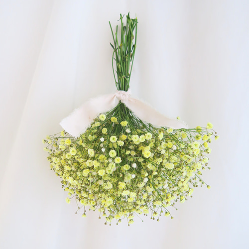 ドライフラワーリース　～Baby’s Breath～　ハンドメイド・オーダー ドライフラワーリース～Baby's Breath～ハンドメイド・オーダー